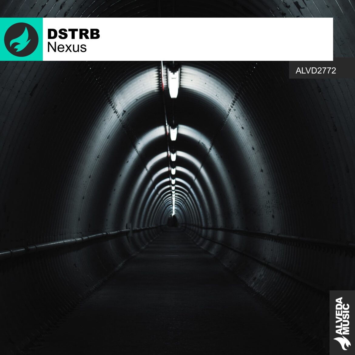 DSTRB Brings Underground Energy to “Nexus”